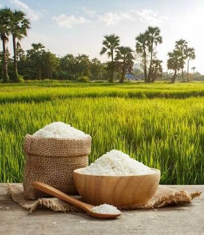 Global Rice Production Needs To Change To Help Fight The Climate Crisis (1)